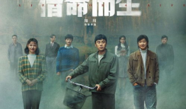 播放电视剧,一部电视剧的浪漫奇幻之旅