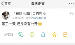 吃瓜的爆料程度怎么算,深度剖析舆论场中的八卦风云