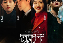 搜索连电视剧全集土豆